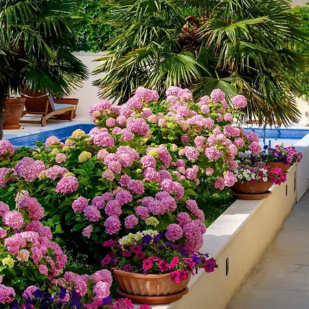 Nocleg ze śniadaniem Palace Schoen Milesi 4*